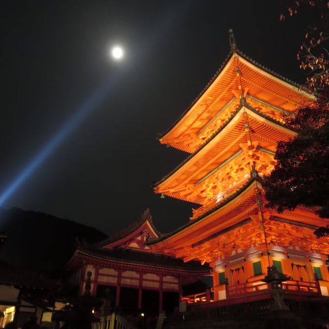 【京都府】人気観光スポット「清水寺」へ！
