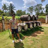 Amazing vineyard and winery near Bengaluru 