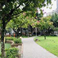 💛這是一個好地方💛Jiancheng Park 建成公園