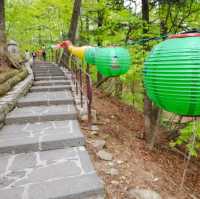 오대산 비로봉 등산