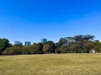산책하기 좋은 도쿄 여행지 신주쿠교엔🌳