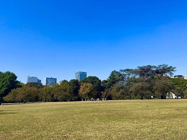 산책하기 좋은 도쿄 여행지 신주쿠교엔🌳