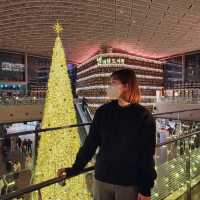 코엑스 별마당도서관, 마법같은 크리스마스의 순간!