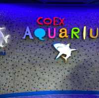 江南超出名水族館🤩Coex Aquarium 