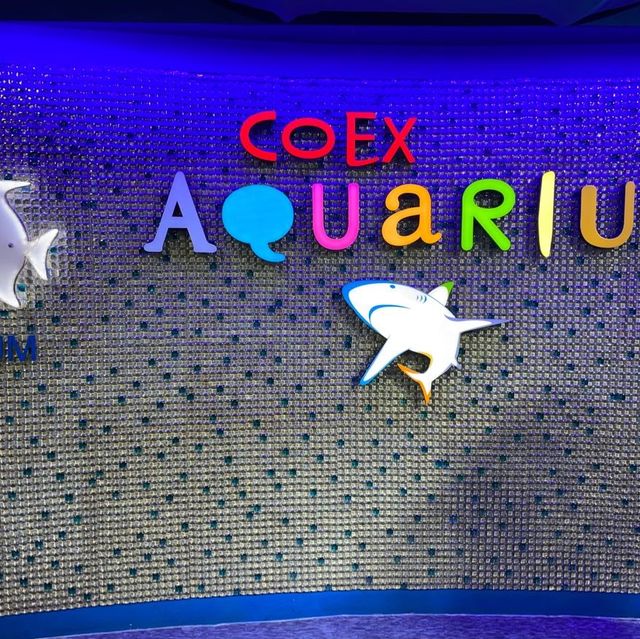 江南超出名水族館🤩Coex Aquarium 