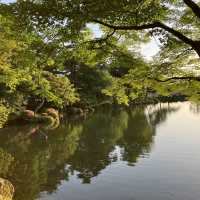【兼六園】早朝が最高☀️