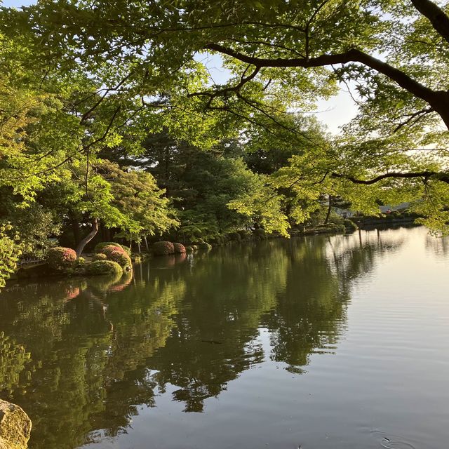 【兼六園】早朝が最高☀️
