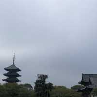 東寺の五重塔