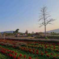 Verona at Tublan Boutique Hotel & Resort