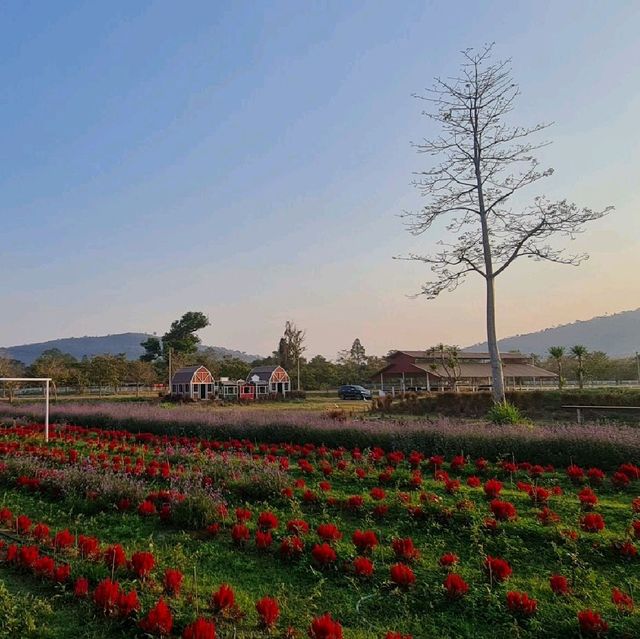 Verona at Tublan Boutique Hotel & Resort