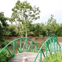 ร้านอาหารสำหรับครอบครัว กิจกรรมเยอะ