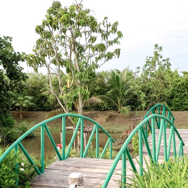 ร้านอาหารสำหรับครอบครัว กิจกรรมเยอะ
