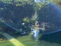 鳥湖@九龍公園