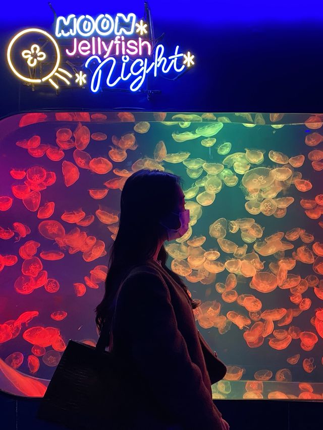 코엑스 아쿠아리움에서 동심찾기🐠