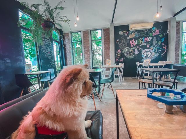 ขอนแก่น ทาสน้องหมาต้องมาคาเฟ่นี้ 🐶