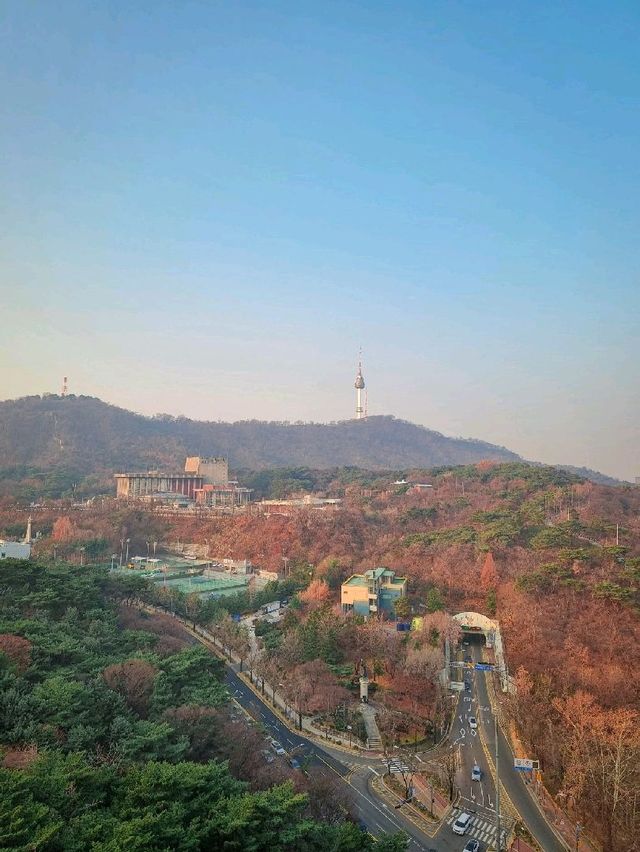 꼭 찍어야하는 서울 신라호텔 포토스팟💙📸
