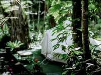 สายแคมป์ปิ้งต้องจัด 🌿☘️⛺️ "ภูทัพฟ้า แคมป์ปิ้ง2"