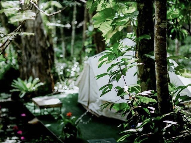 สายแคมป์ปิ้งต้องจัด 🌿☘️⛺️ "ภูทัพฟ้า แคมป์ปิ้ง2"