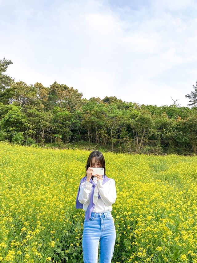 짱구네 유채꽃밭::천원으로 즐기는 조용한 유채꽃밭