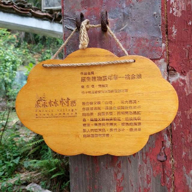 隱世森林村莊-梅子林