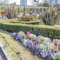 春の山下公園噴水付近