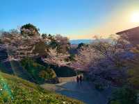 京都　京都散策旅！ねねの道から清水寺まで散策してみた！
