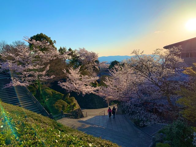 京都　京都散策旅！ねねの道から清水寺まで散策してみた！