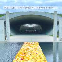 【北海道】安藤忠雄設計の礼拝空間