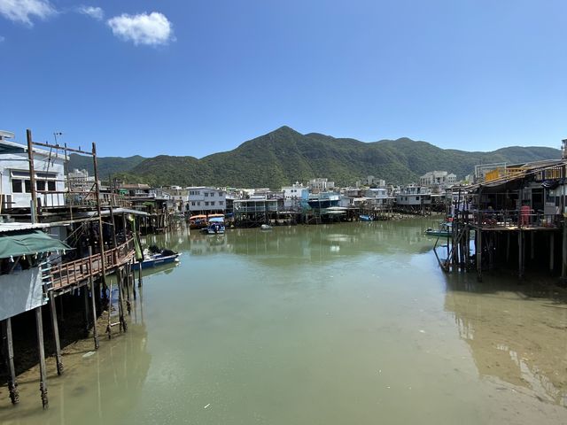 新基大橋 新基大橋