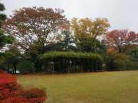 名古屋最大的日式庭園《白鳥庭園》