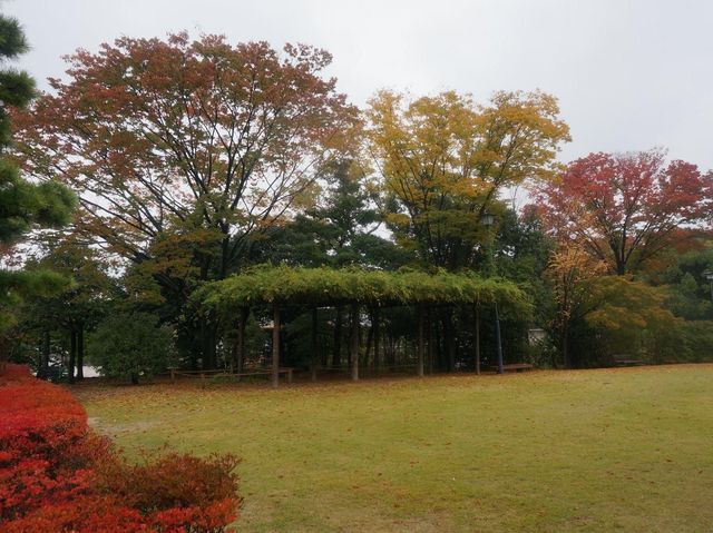 名古屋最大的日式庭園《白鳥庭園》