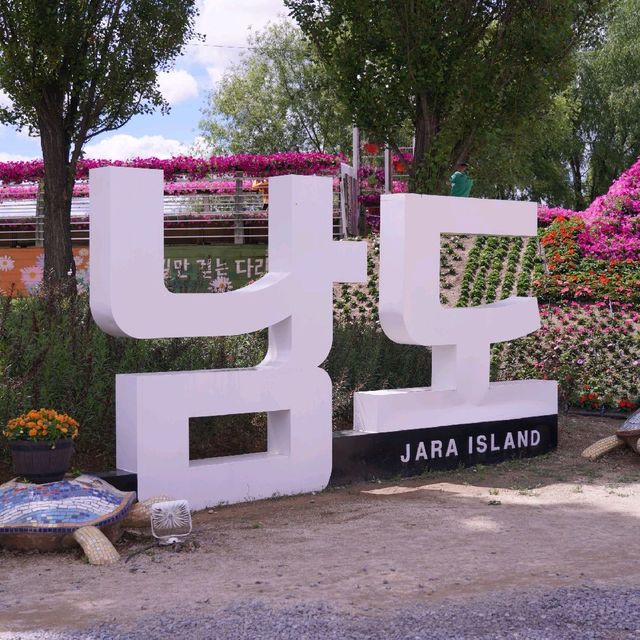 가평JARA 🏝 자라섬