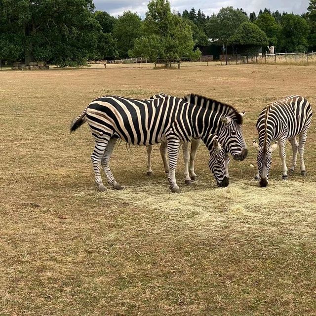 英國最具規模的野生動物公園及花園