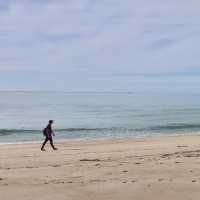뉴질랜드 해변을 따라 걷는 아벨타즈만 트랙🇳🇿🌊