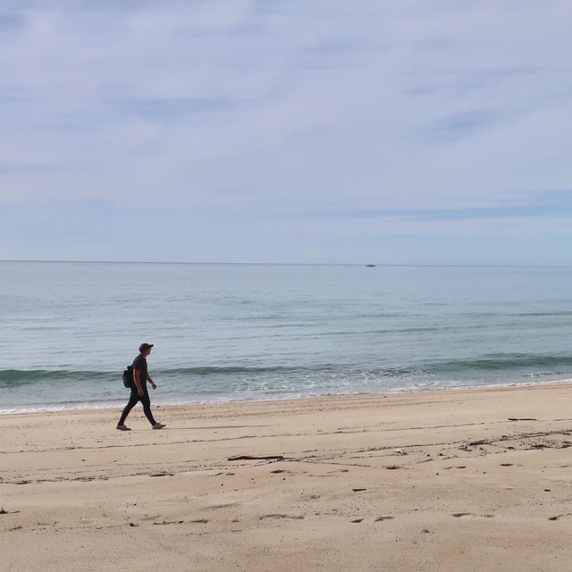 뉴질랜드 해변을 따라 걷는 아벨타즈만 트랙🇳🇿🌊