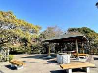 The Hidden Hiyoriyama Park