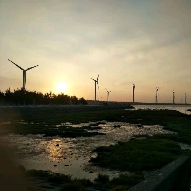 Gaomei Wetland 