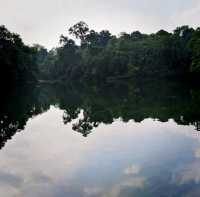 Lower Peirce Reservoir Park