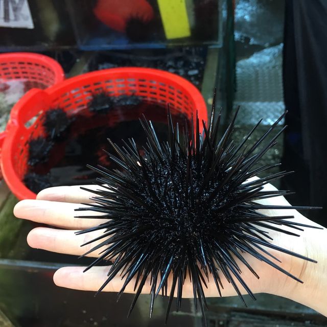 台北竹圍漁港平價新鮮海鮮魚生🥰