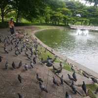 วัดพระศรีมหาธาตุวรมหาวิหาร บางเขน