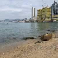 假日遊東龍島