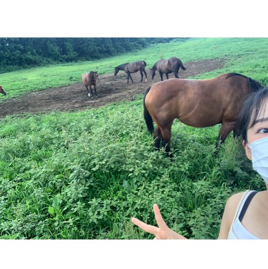🐴 말과 함께 ‘성이시돌목장‘ 🐴