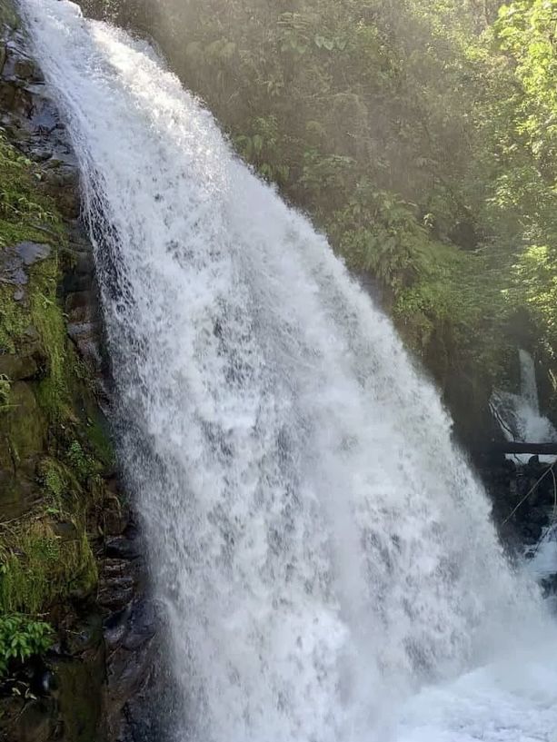 5 falls in one rainforest 😱