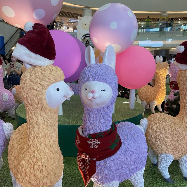 聖誕節🎄快到啦～～