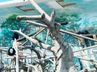 大阪 天王寺動物園 — 睇到香港睇唔到嘅動物