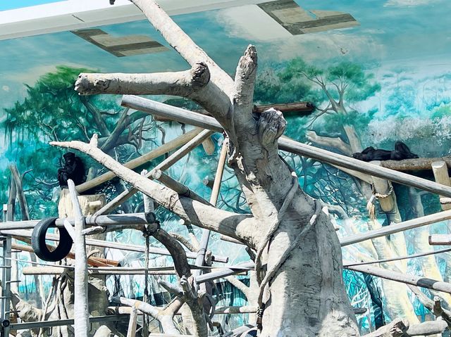 大阪 天王寺動物園 — 睇到香港睇唔到嘅動物