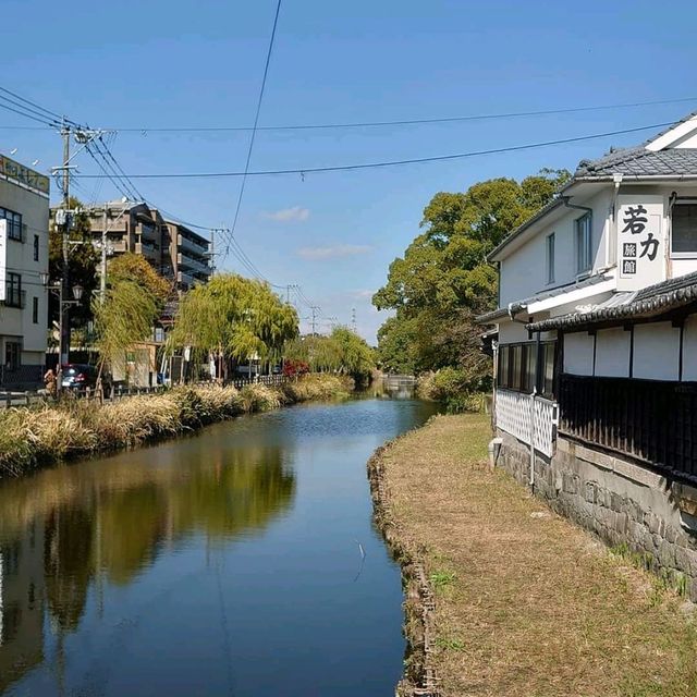 柳川河上泛舟