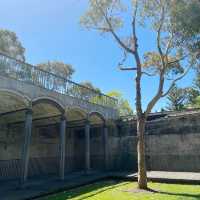 帕丁頓水庫花園 Paddington Reservoir Gardens 💐