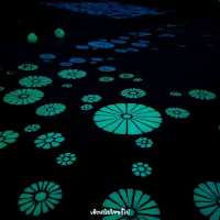 ทะเลหมอกในวัดเรืองแสง อุบลราชธานี