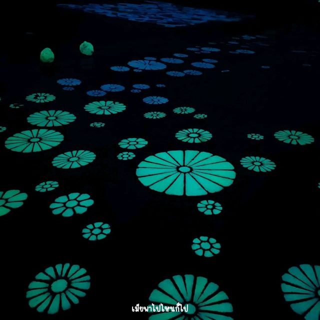 ทะเลหมอกในวัดเรืองแสง อุบลราชธานี